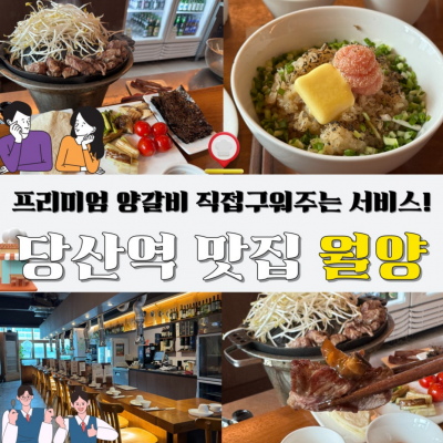 월양 대표후기 이미지 7